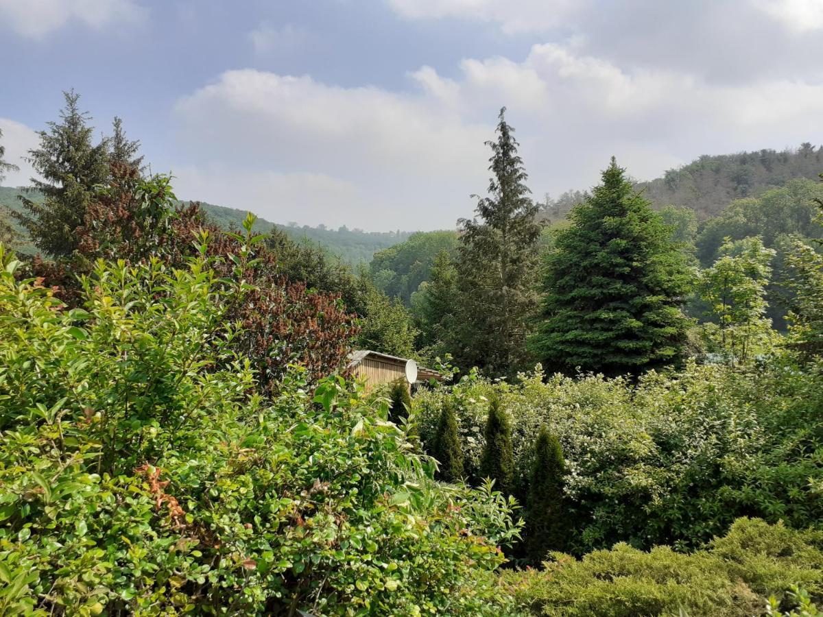 Talblick 2 - Ihr Zuhause : Das Ferienhaus Mitten Im Idyllischen Tal Bad Bibra المظهر الخارجي الصورة