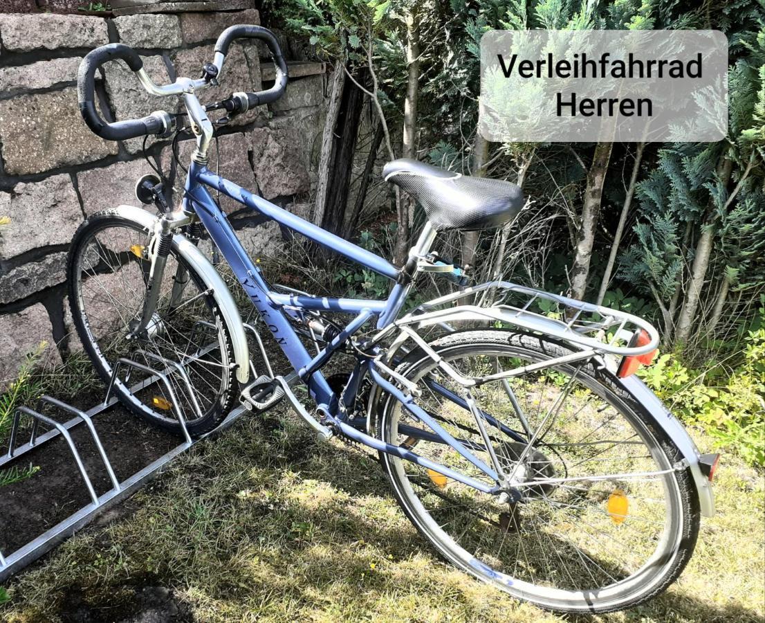 Talblick 2 - Ihr Zuhause : Das Ferienhaus Mitten Im Idyllischen Tal Bad Bibra المظهر الخارجي الصورة